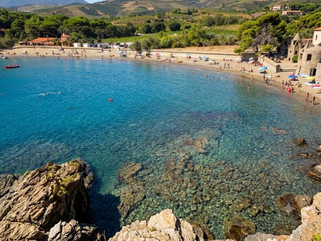 Plage de l'anse de Paulilles et ses eaux cristallines