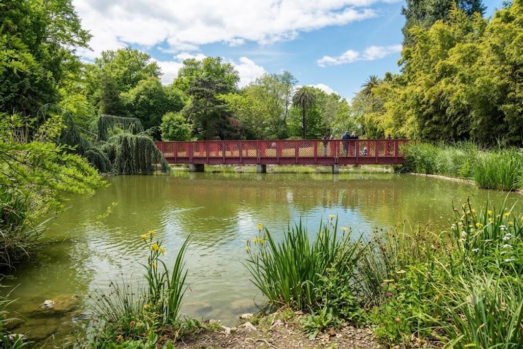 Bassin et passerelle du jardin des plantes des Capellans