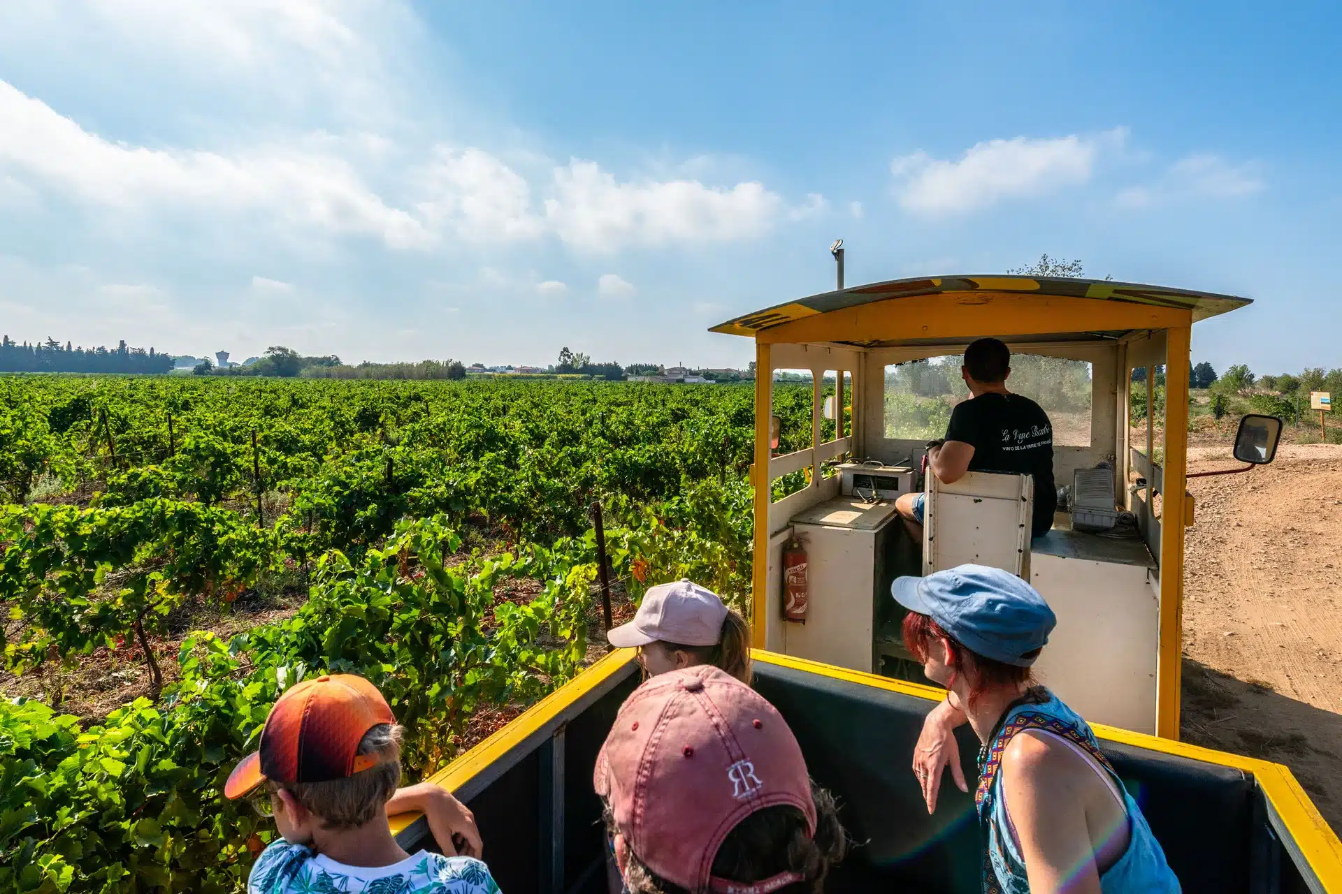 train vignoble perpignan