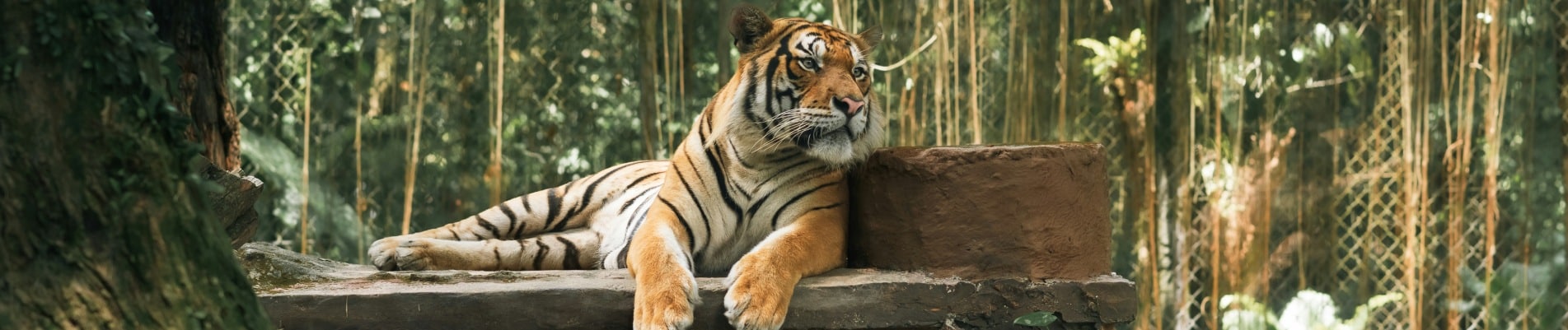 reserve africaine sigean