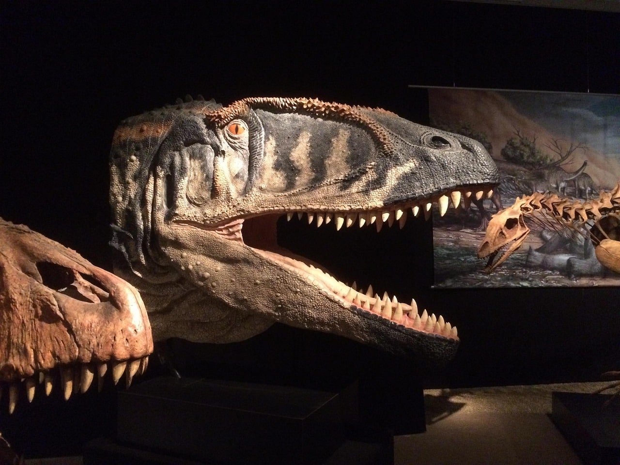 natural history museum 2531529 1280