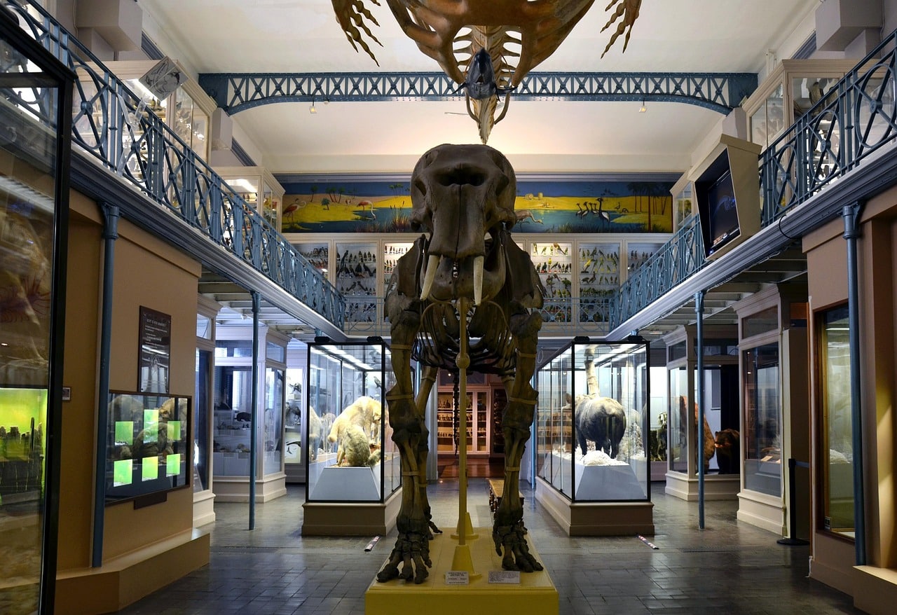 Muséum d’histoire naturelle