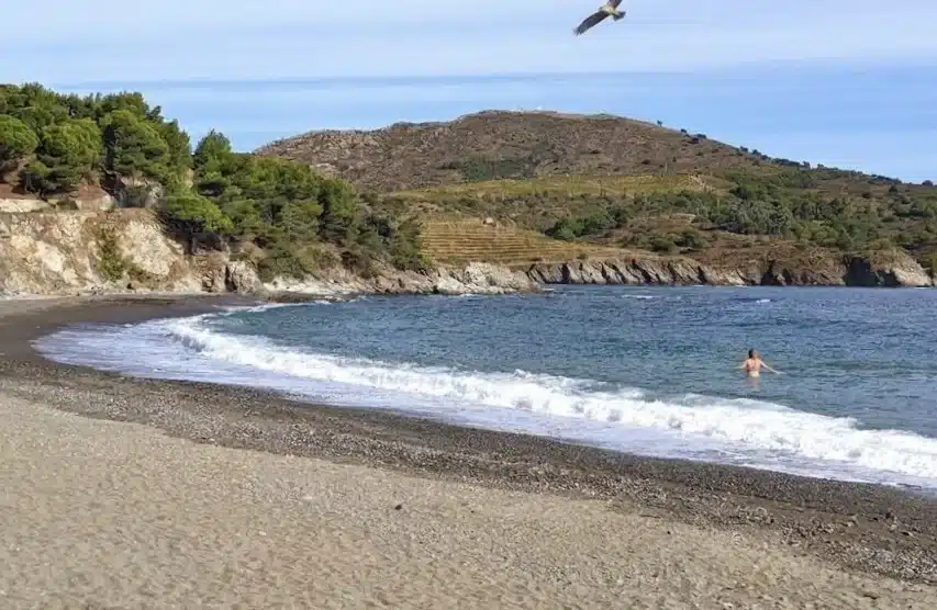 Plage de l'anse de Paulilles, baignade entre les collines de la Côte Vermeille