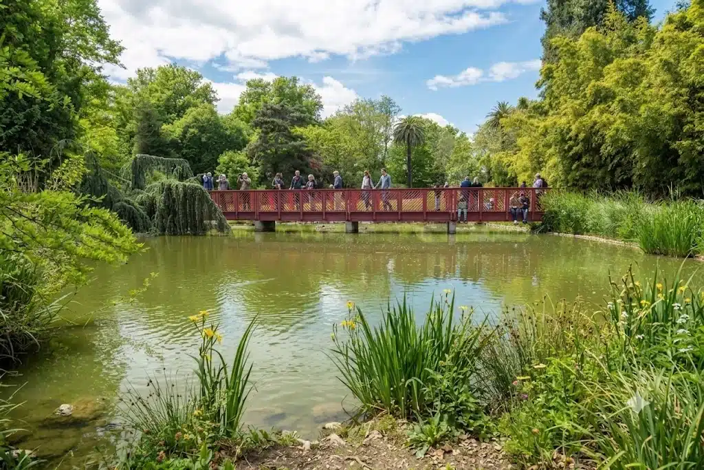 La passerelle du jardin des plantes des Capellans à Saint-Cyprien