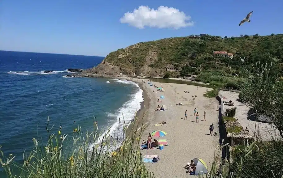 La plage de l'Ouille, crique de Collioure entre les falaises